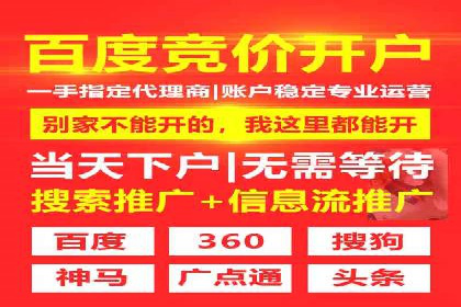 专业SEM托管服务成功案例分享