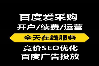 成功案例：sem竞价托管的智慧与策略